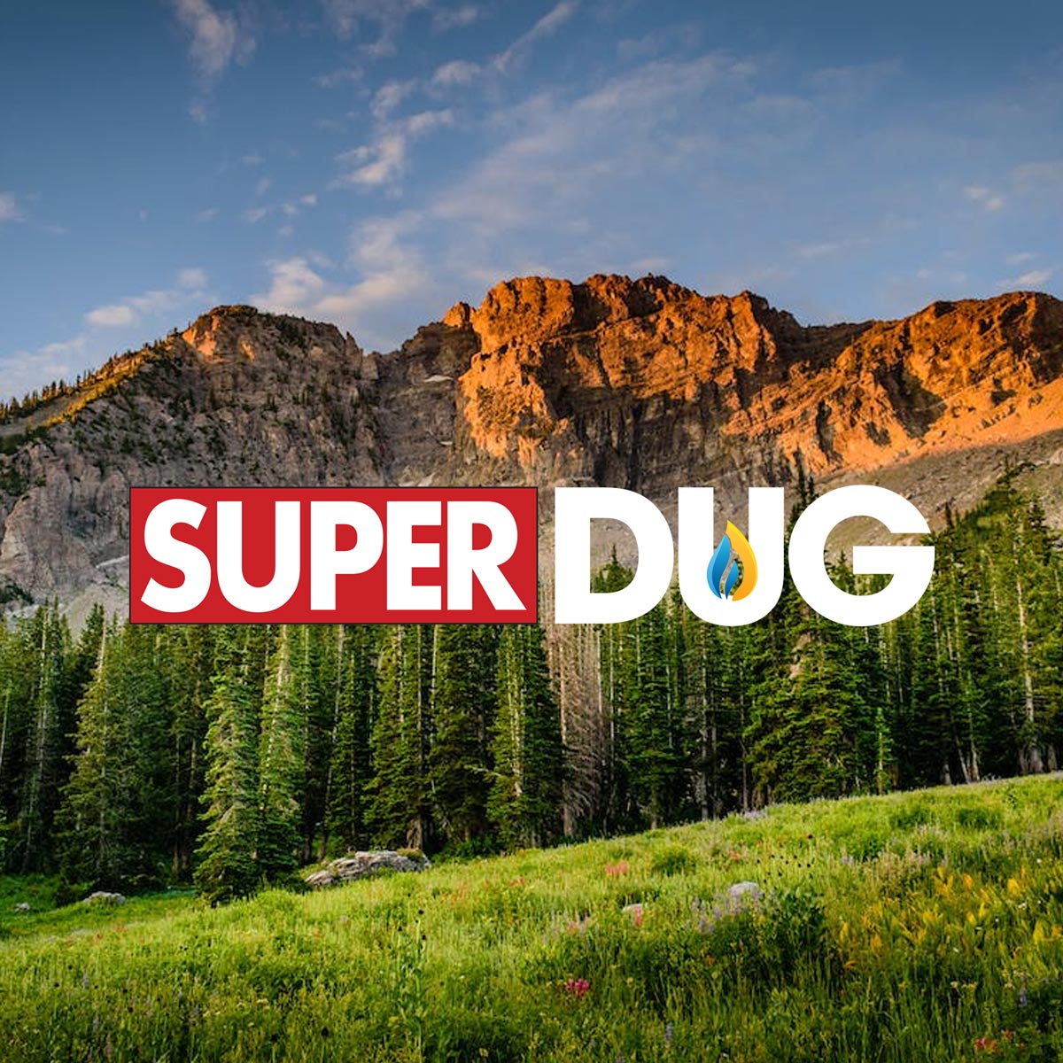 Super Dug Conference
